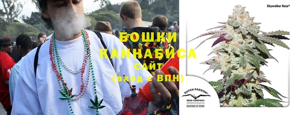 трава Заволжск