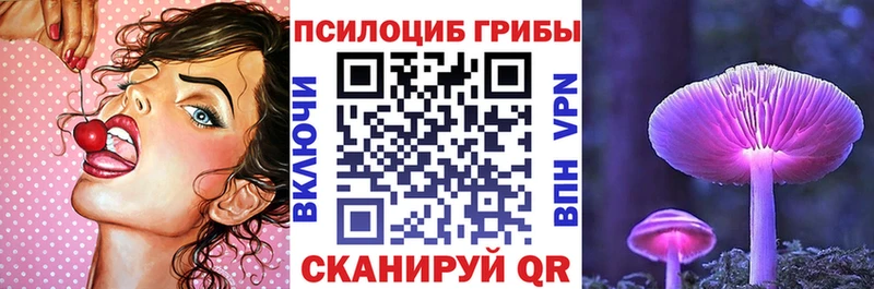 Купить где Короча Галлюциногенные грибы Magic Shrooms